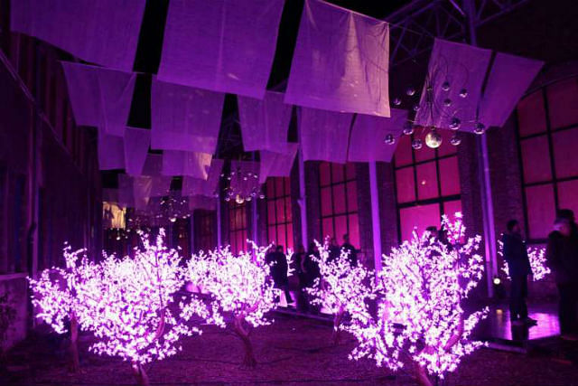 100 things to see and do at Singapore Night Festival 2015 cherry trees.jpg
