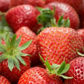 Strawberries shown to protect stomach against ulcers