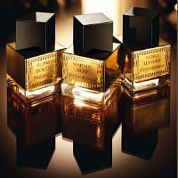 Yves Saint Laurent launches Orient-inspired fragrance trio