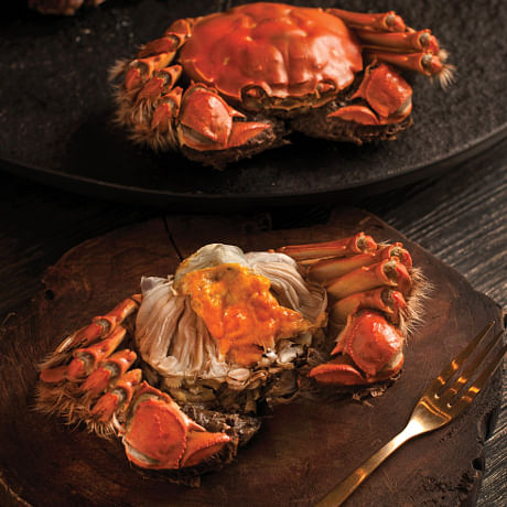 Hairy Crabs T