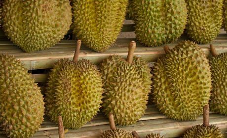 There could be a durian drought in Singapore this year! 