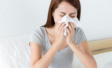 dust mite allergies 