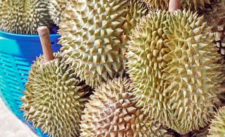 durian_1