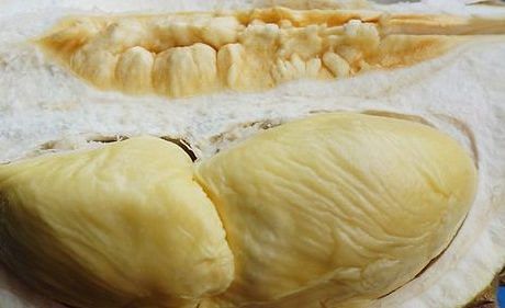 What every durian lover should be eating now