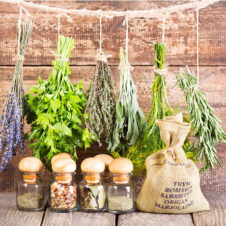 substitute fresh and dried herbs