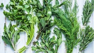 kitchen_herbs_singapore_t