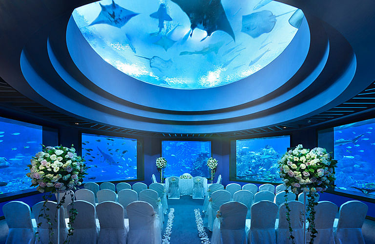 Under the Sea  Sea wedding theme, Aquarium wedding, Sea wedding