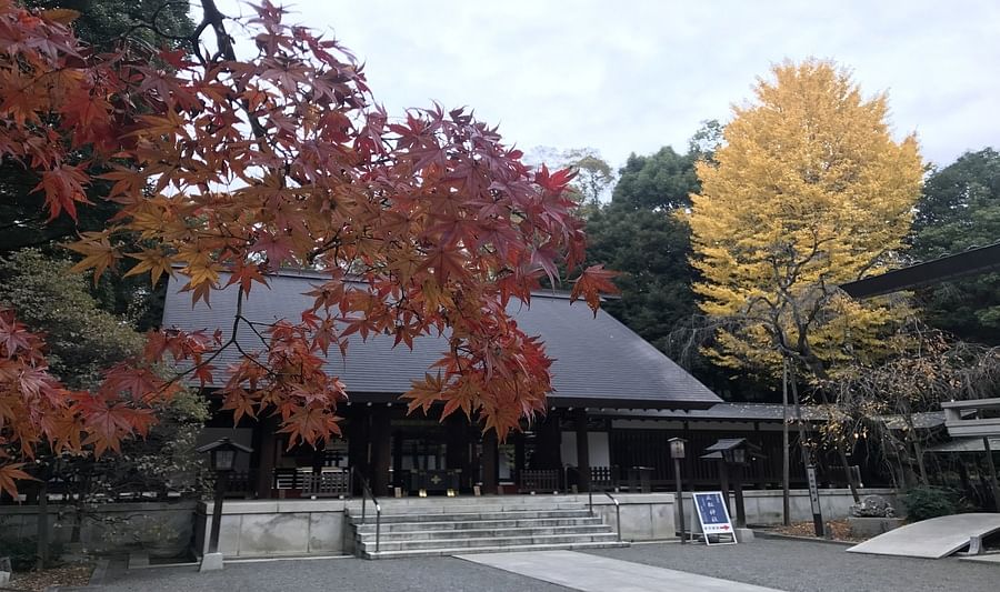 Autumn leaves of a shrine in Tokyo