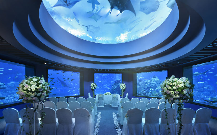weddings_ocean_dome_thumb