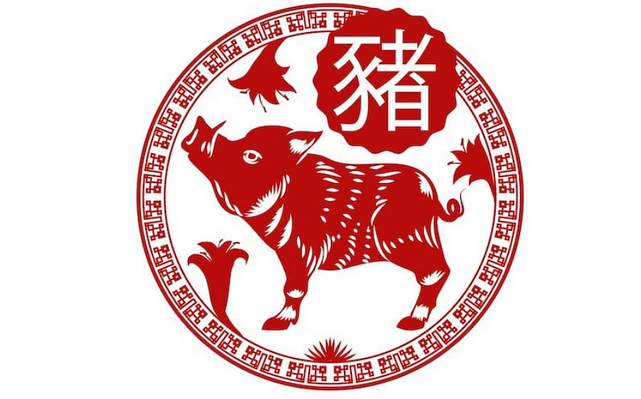 2019 S Chinese Zodiac Sign Forecast Is Lady Luck On Your Side