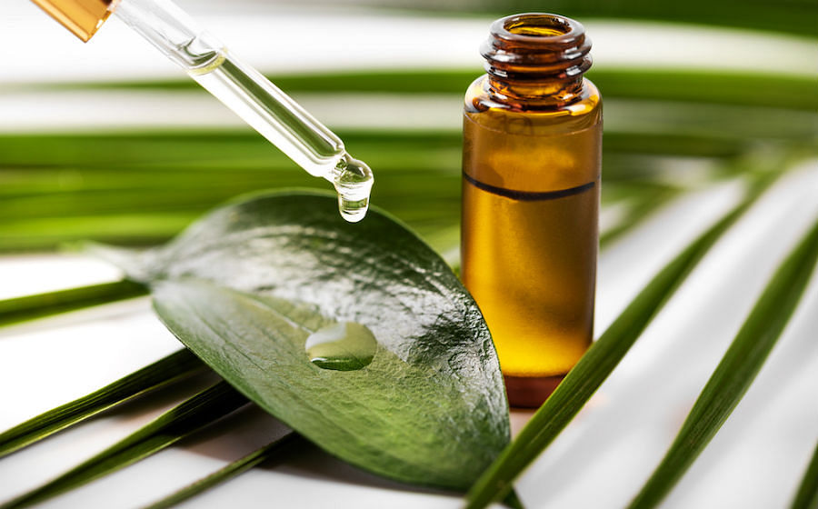 A beginner’s guide to tea tree oil