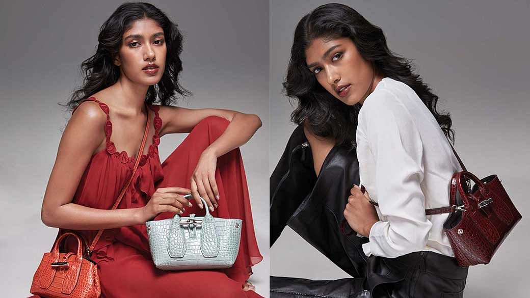 Longchamp Roseau : r/handbags