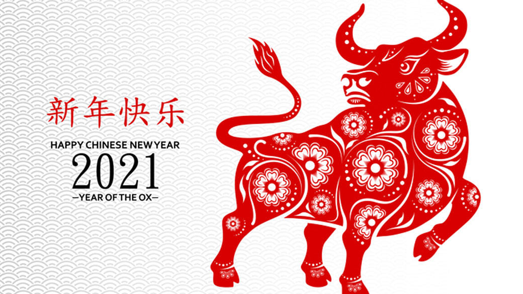 what happens when it your chinese zodiac year