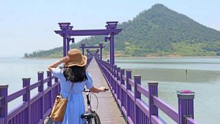 7 travel experiences to try: From Korea’s purple islands to Australia’s starry skywalk