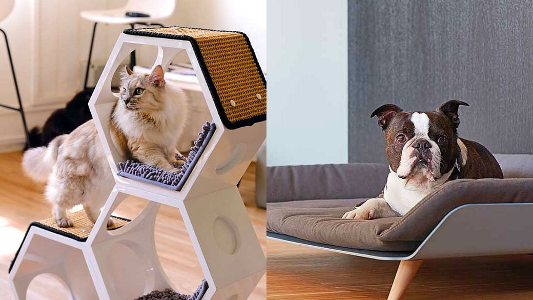 10 Chic Pet Furniture Ideas That Will Blend Seamlessly In Any Home ...