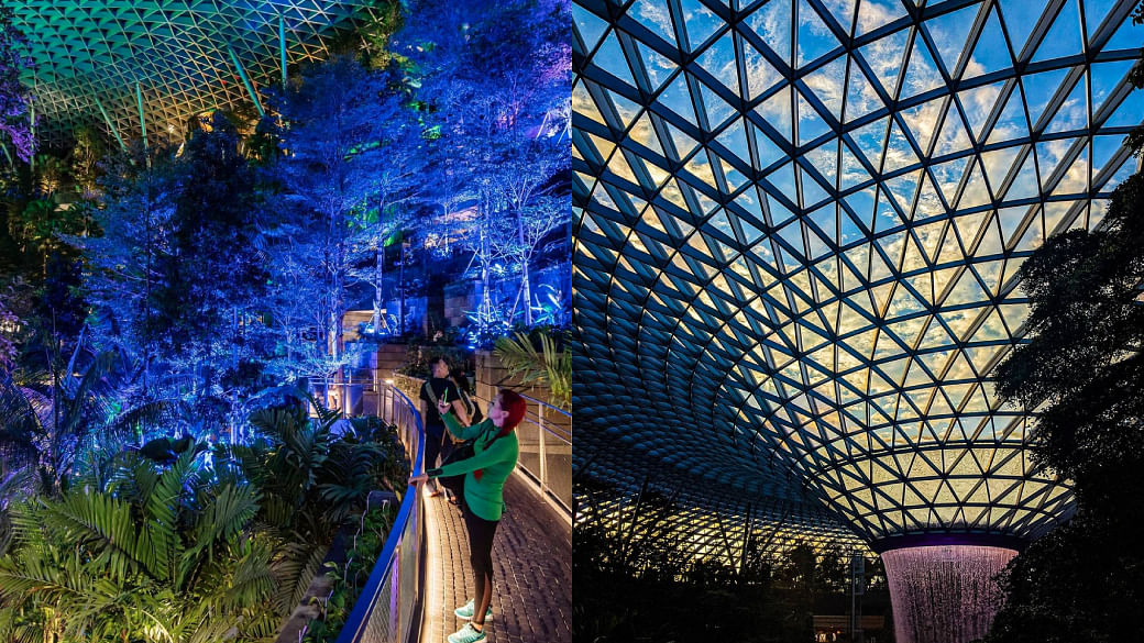 Ejemplo Solicitud Babosa de mar 7 cool things to do at Jewel Changi Airport - Her World Singapore