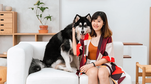 How Jane Peh started Pawjourr, a pet influencer marketing agency in New York City