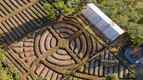 Ayana Farm Bali: A luxury farm stay that allows you to reconnect with nature
