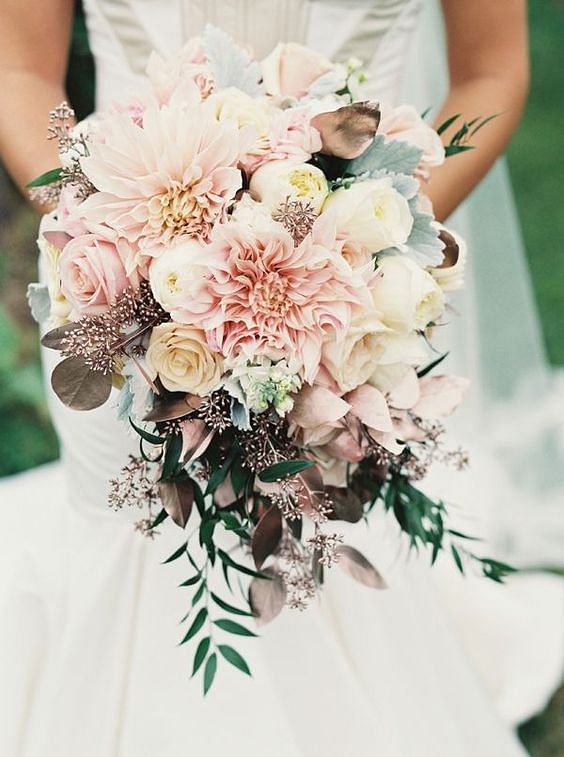 Blushing bride flower - 15 reasons why it is perfect for your wedding  bouquet - Her World Singapore