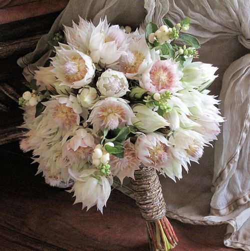 Blushing bride flower - 15 reasons why it is perfect for your wedding  bouquet - Her World Singapore