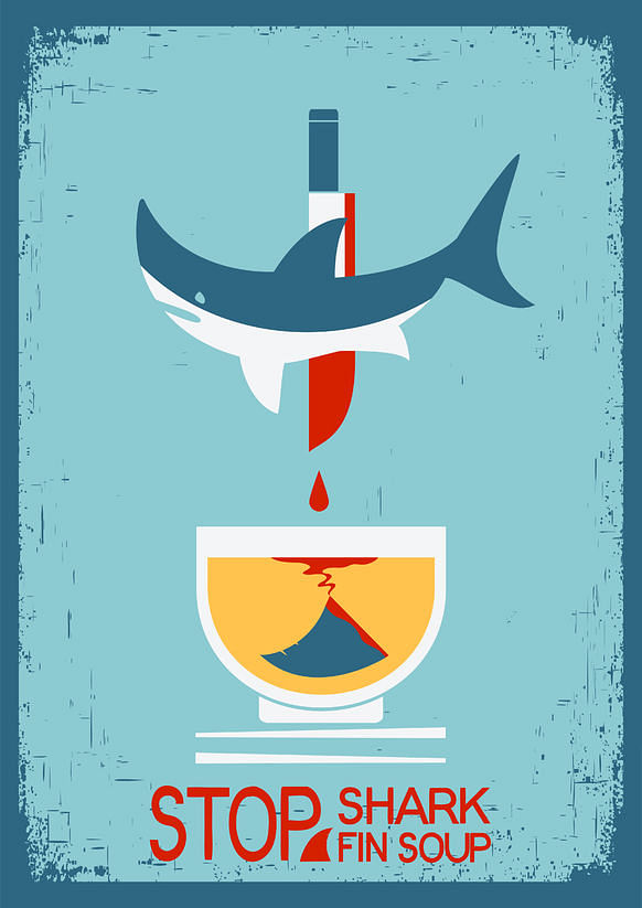 Take sharks fin soup off your wedding menu! thumbnail