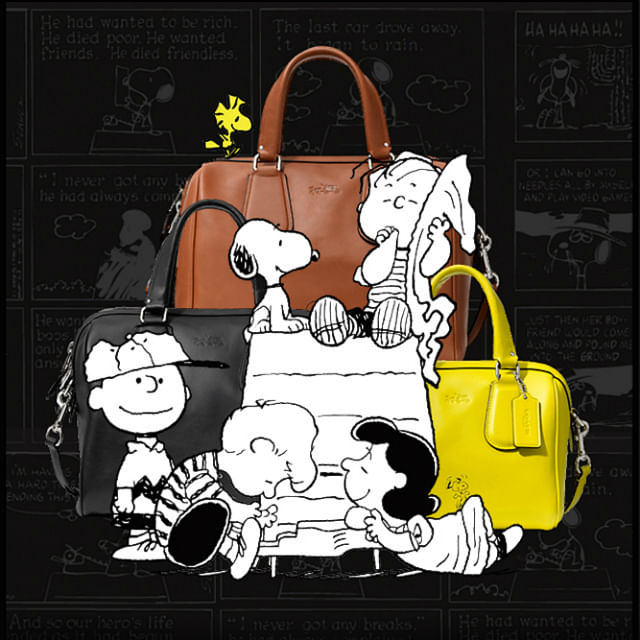 coach cartoon bag