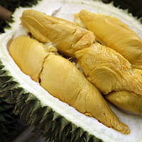 Durian 101 - 10 Malaysian durians