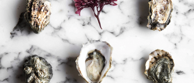 Best fresh oysters in Singapore - Db Bistro & Oyster Bar
