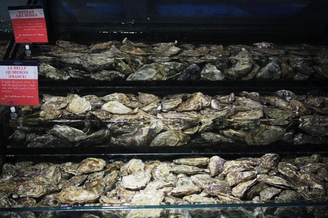 Best fresh oysters in Singapore - Emporium Shokuhin