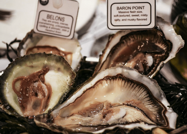 Best fresh oysters in Singapore - Greenwood Fish Market & Bistro