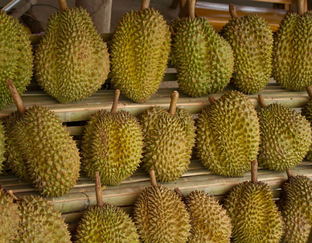 There could be a durian drought in Singapore this year! 