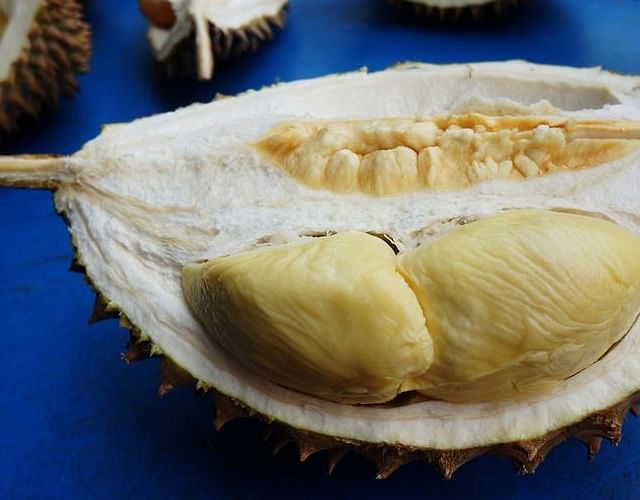 What every durian lover should be eating now