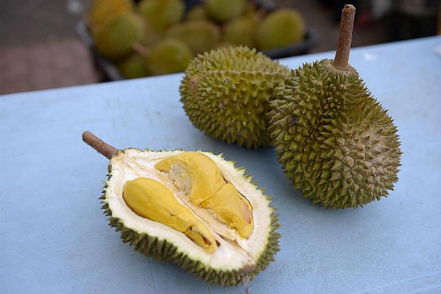 durians make you fat.jpg