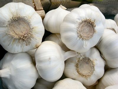 Garlic may protect your heart against damage