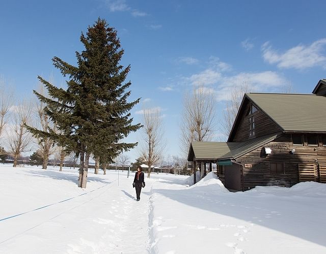 What to do, where to stay and what to eat for the perfect winter holiday in Niseko, Hokkaido
