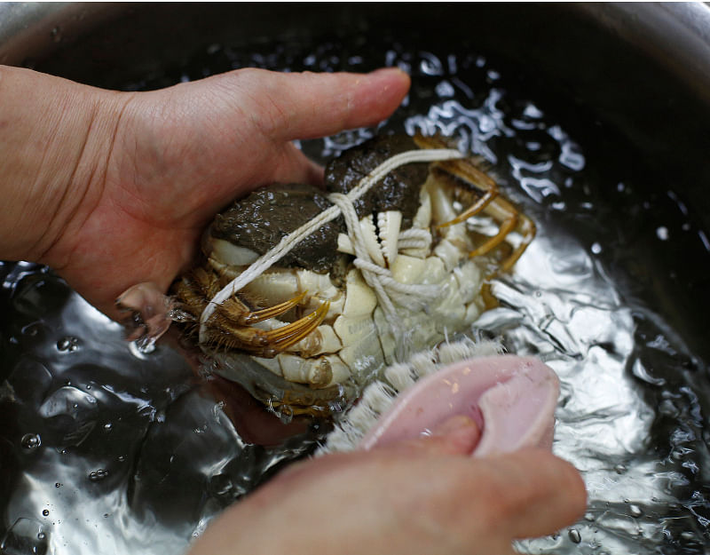 how to clean hairy crabs