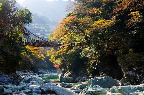 5 weird and wonderful experiences to enjoy in Japan