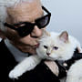 Karl Lagerfeld's kitten is Net-A-Porter video star