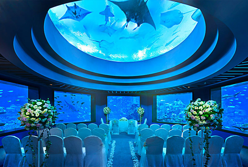 Ocean Dome, S.E.A Aquarium