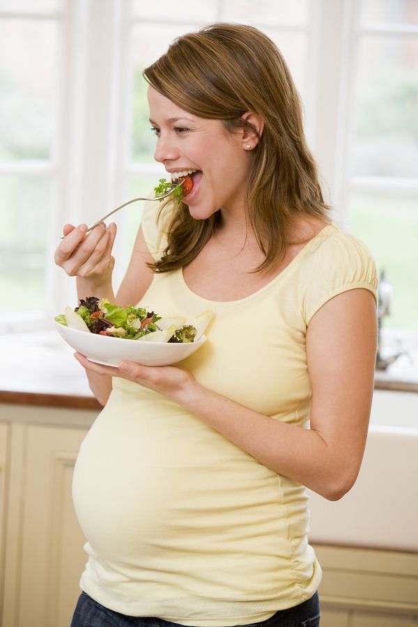 Pregnant women on junk food diets risk junk food addict babies