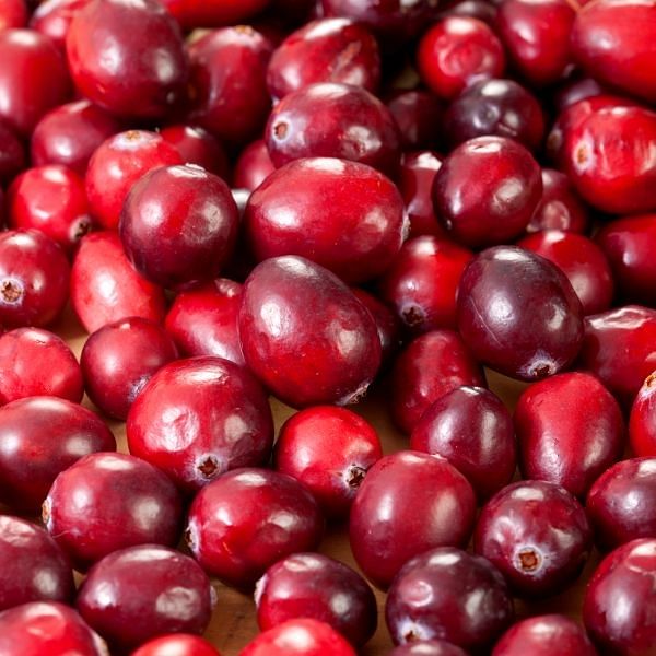 Cranberry juice to fend off bladder infections? Latest study says skip it