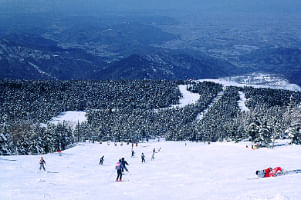 japan ski