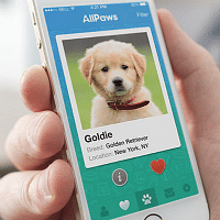 tinder for pets thumb_0.png